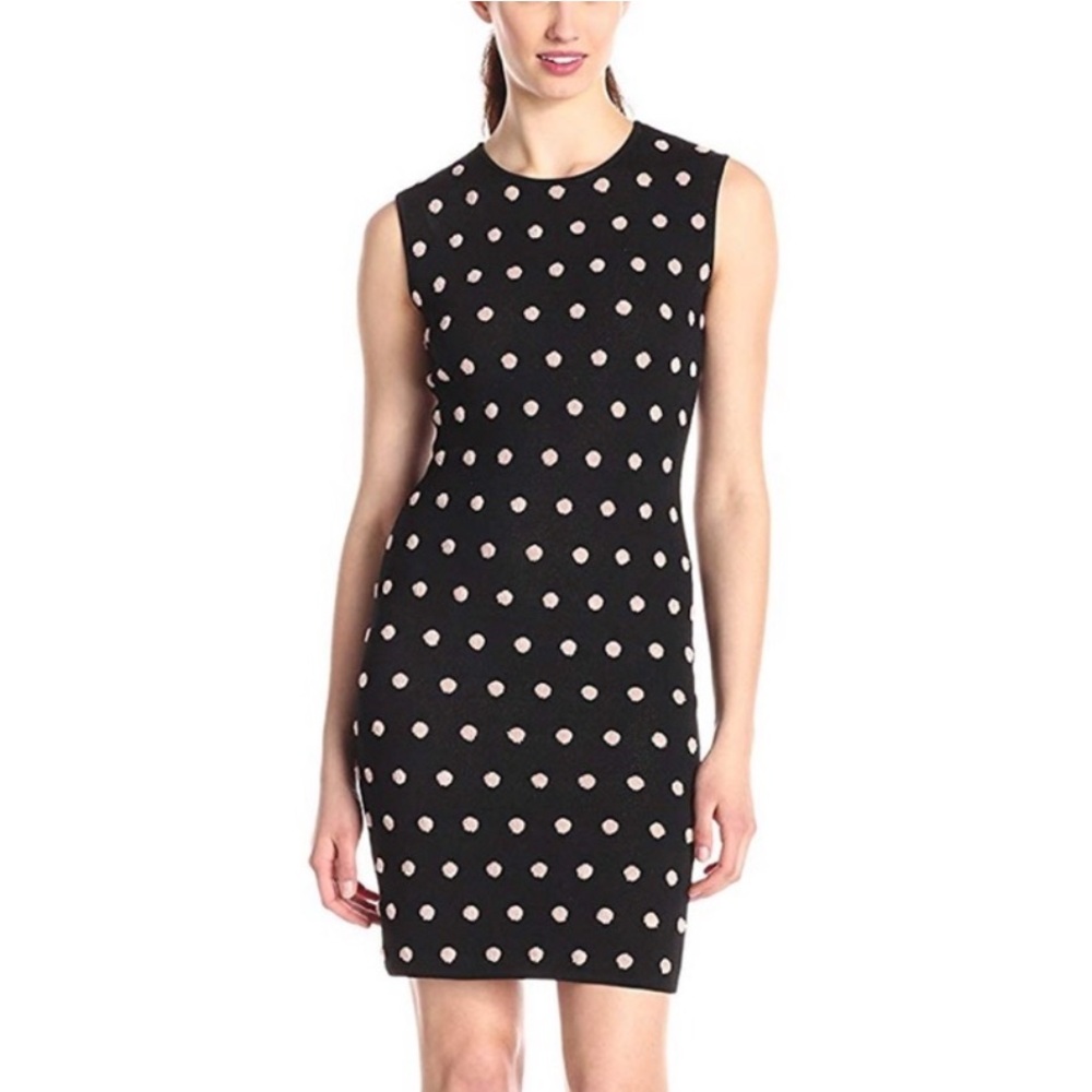 BCBG Polka Dot Sweater Dress